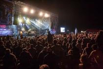 Skindred