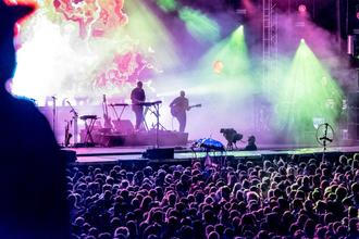 12_Bonobo