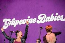 02-InMusic - Grapevine Babies