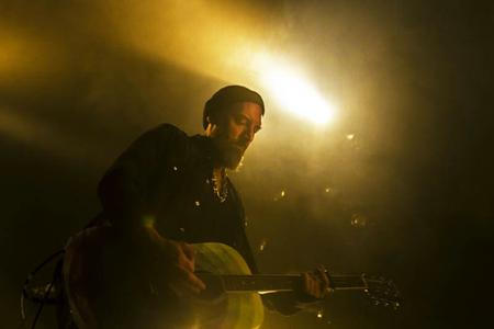 Fink (6) (1)