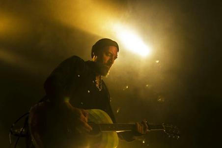 Fink (6) (1)