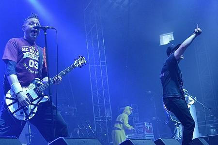 003_Zebrahead