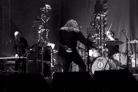 Robert Plant (15)