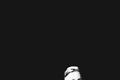 astronautalis 03