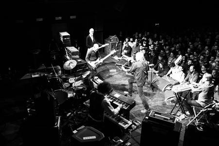11_swans
