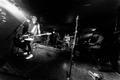 TheVibrators (2)