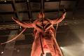 MGK (1 of 1)-8