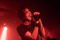 05_The Horrors