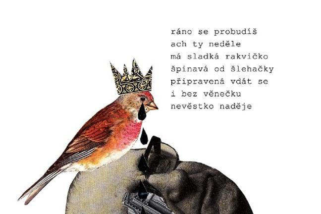 1_pohled (1)
