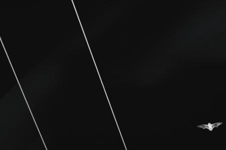 5 (39)