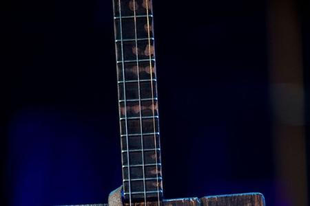bluesalive2018-01-jan-fic (1)