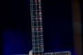 bluesalive2018-01-jan-fic (1)