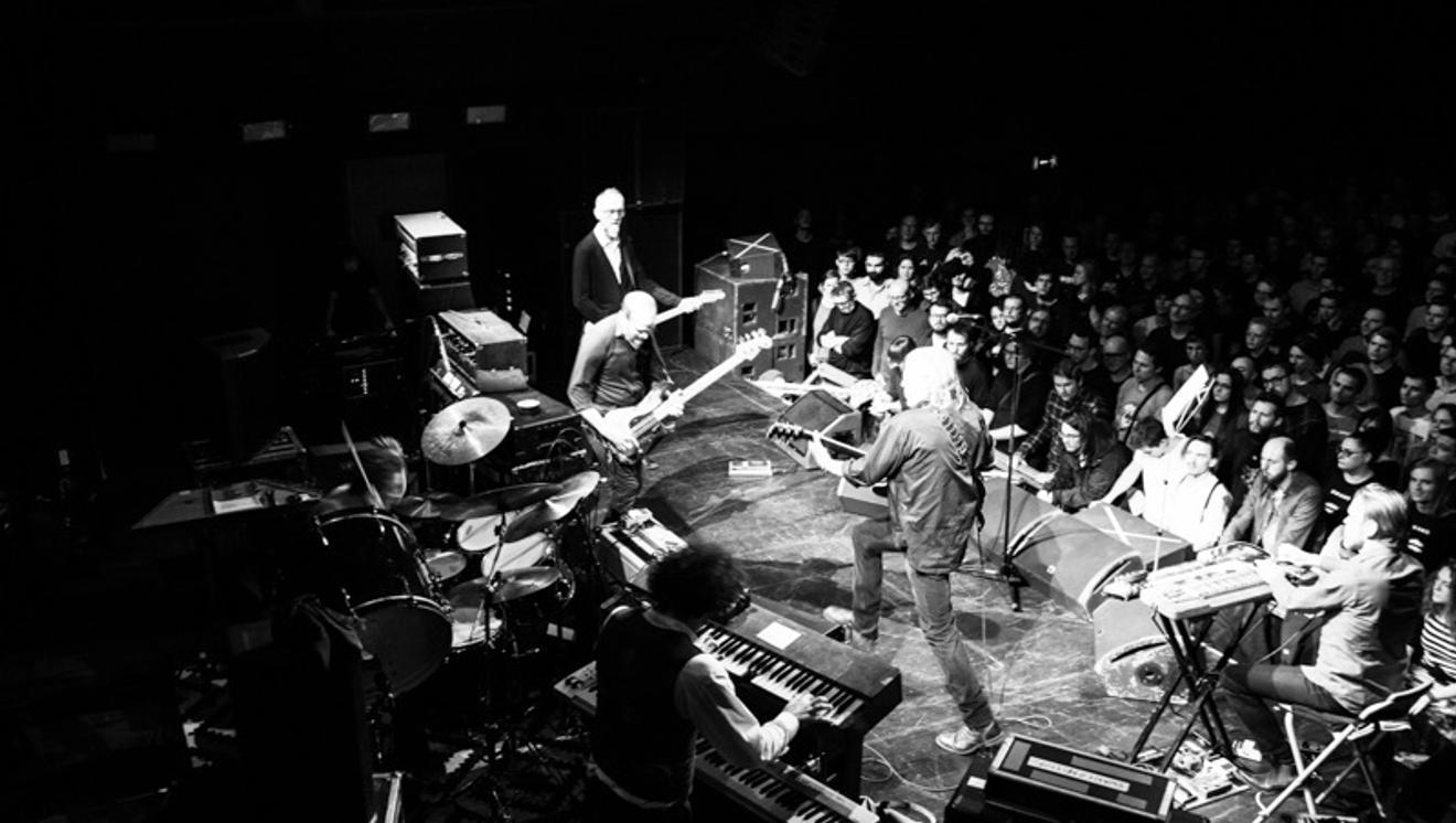 11_swans