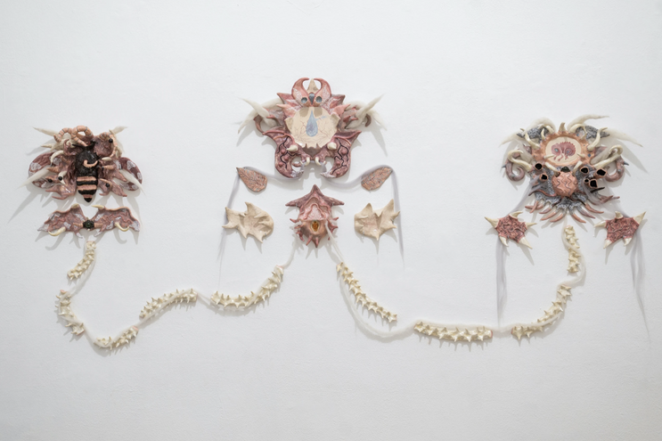 MgA. Kristina Hrevušová, Parasitic Relations, 2026, Šopa Gallery
