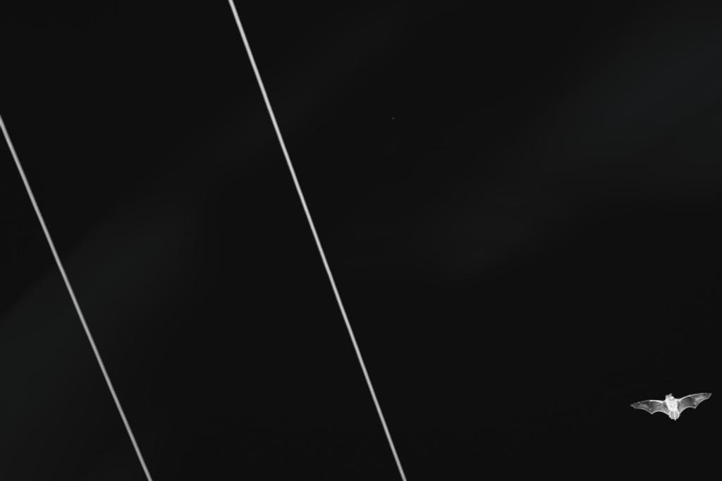 5 (39)