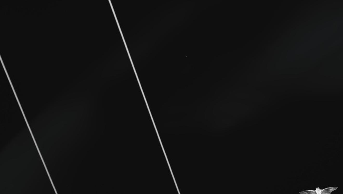 5 (39)