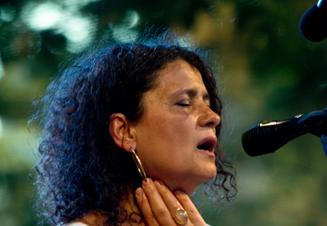 014IvaBittova (1)