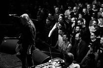 09_swans