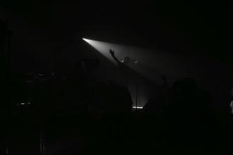 Chrysalide (5)