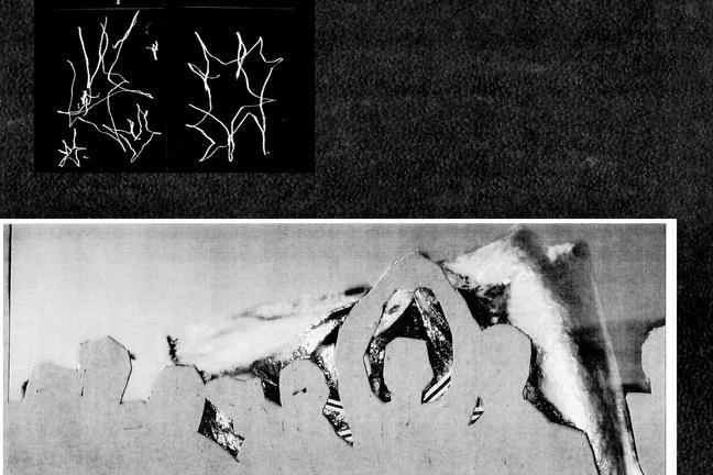Vellocet Roll – Freedom Colony