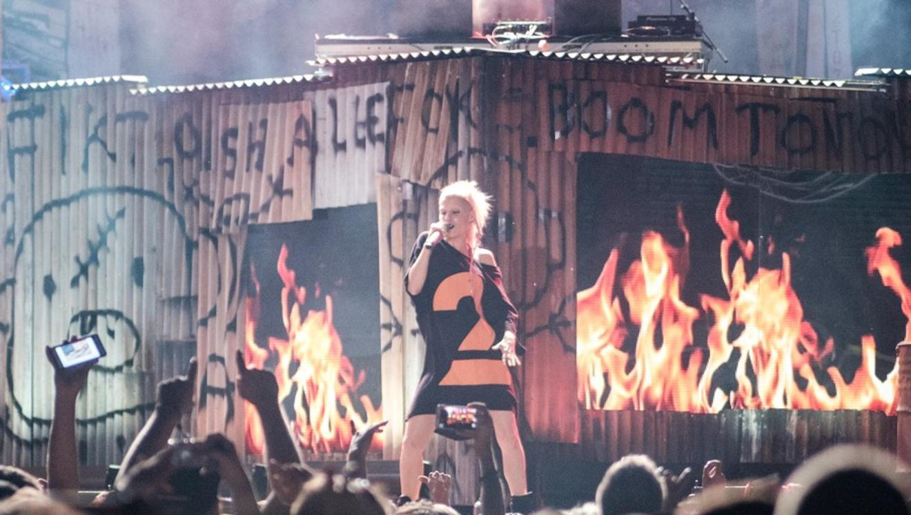 die antwoord_