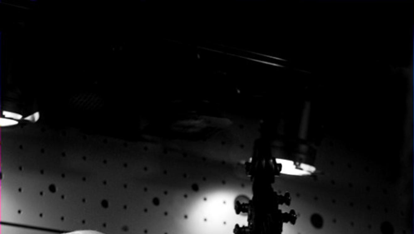 002Sanchez_Migration