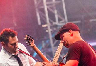 zebrahead-01