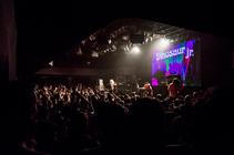 Dinosaur Jr (11)