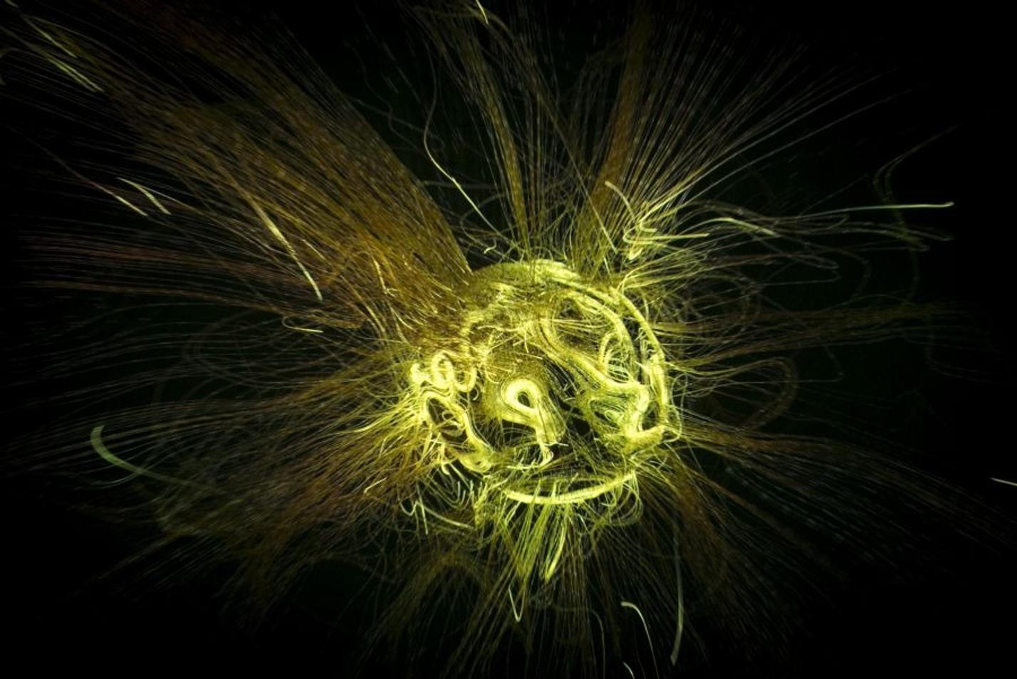 biosphere_spectaculare17-017