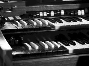 012_OrganExplosion