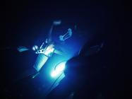 007_drom