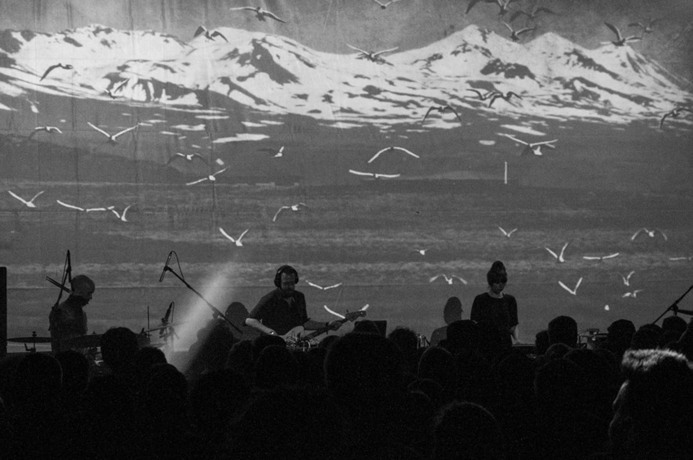 Hidden Orchestra (2)