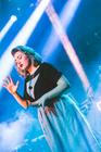 fallgrapp (10)