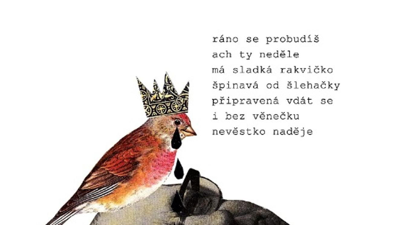 1_pohled (1)