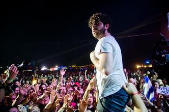 8916_foals