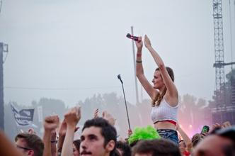 8790_foals