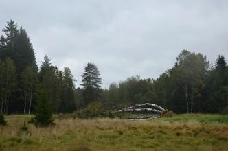 23 NP Šumava