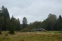 23 NP Šumava
