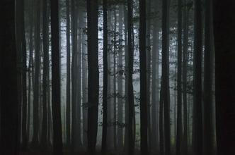 18 NP Šumava