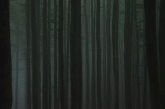 13 NP Šumava
