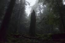 19 NP Šumava