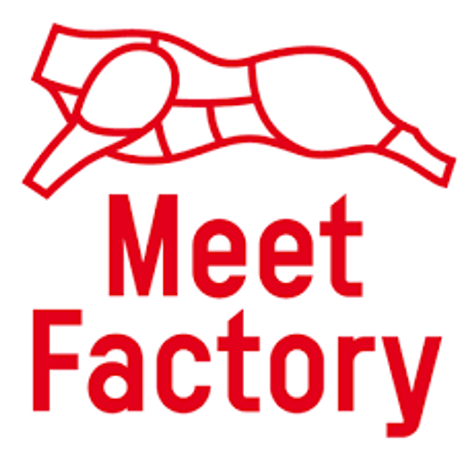 MeetFactory