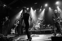 The Selecter