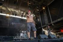 The Exploited
