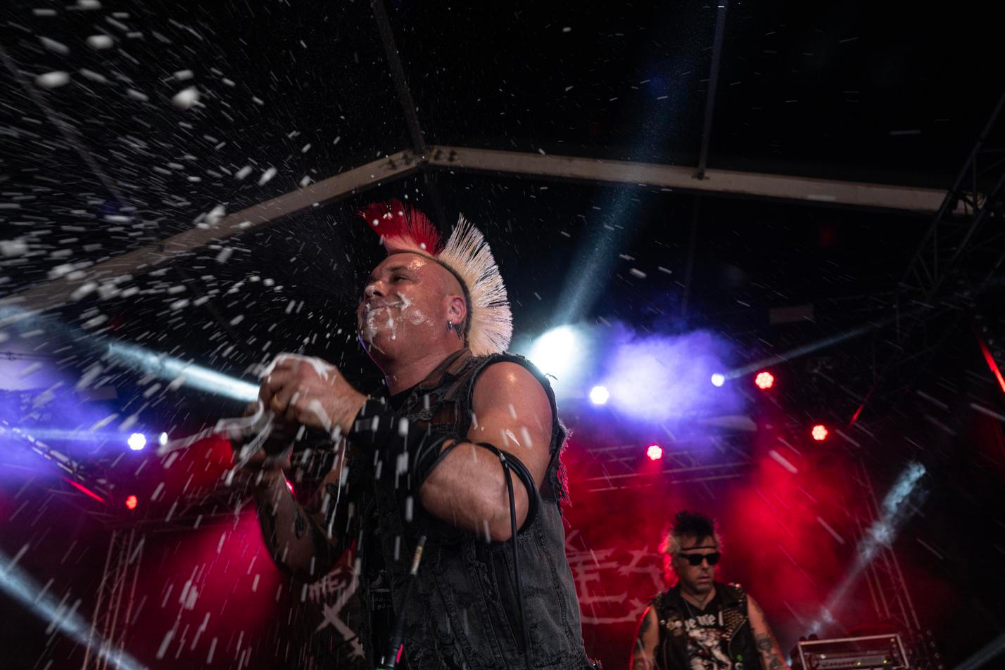 The Casualties