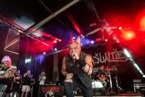The Casualties