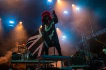 Skindred