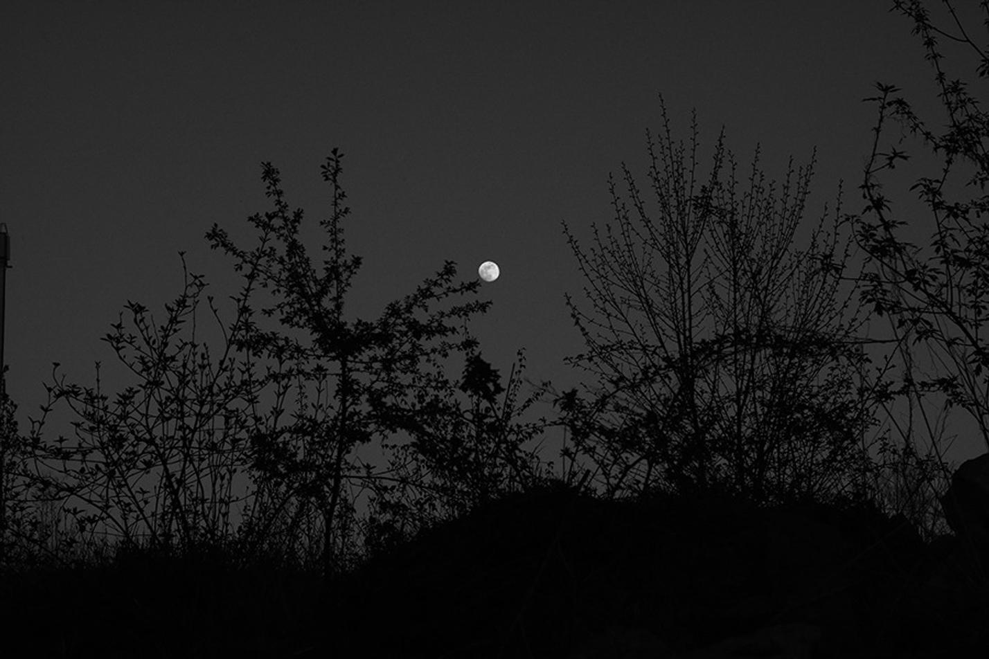 fullmoonzine.cz
