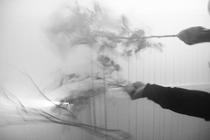 Botanist