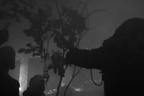 Botanist